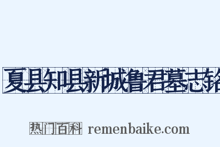 夏县知县新城鲁君墓志铭是什么意思的图片